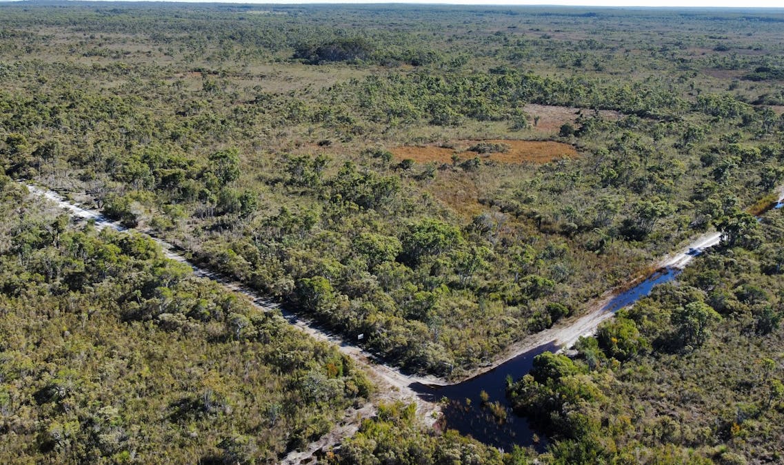 Lot 101 Jangardup Road, Lake Jasper, WA, 6260 - Image 4