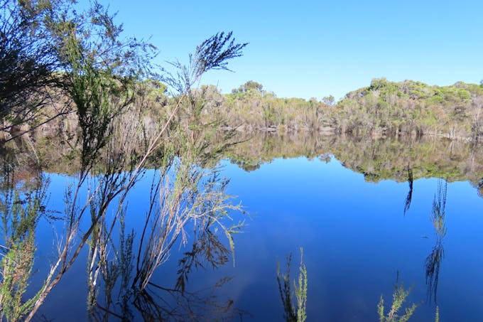 Lot 101 Jangardup Road, Lake Jasper, WA, 6260 - Image 1