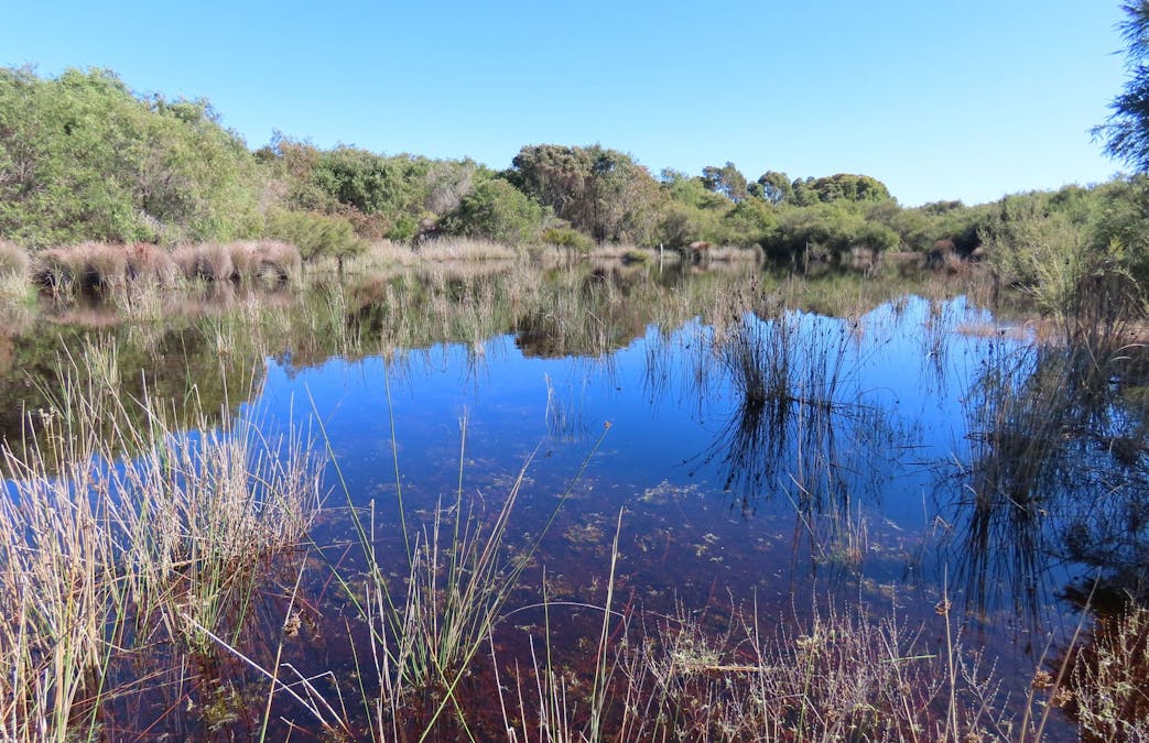Lot 101 Jangardup Road, Lake Jasper, WA, 6260 - Image 7