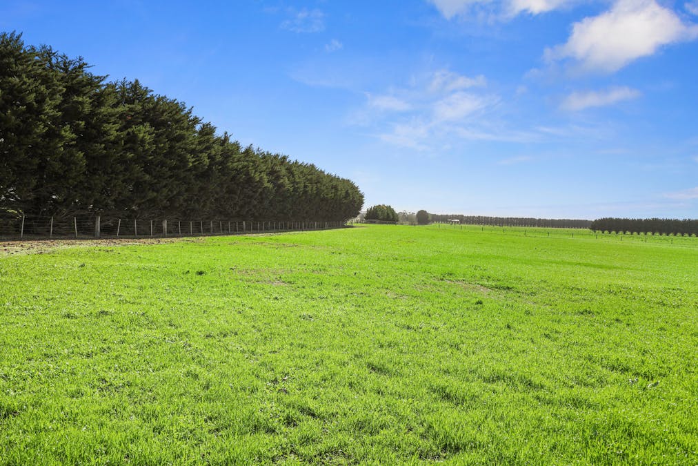 4251 Hamilton Highway, Mortlake, VIC, 3272 - Image 2