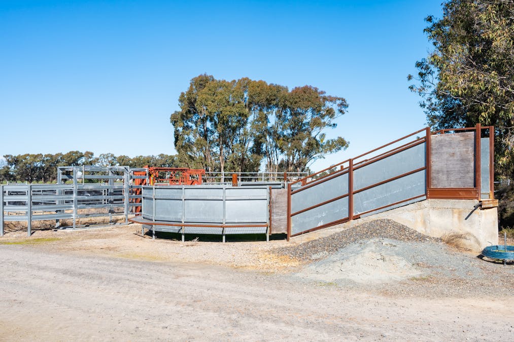 290 Savernake Road, Mulwala, NSW, 2647 - Image 29
