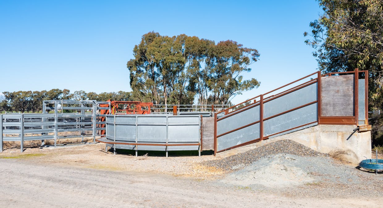 290 Savernake Road, Mulwala, NSW, 2647 - Image 29