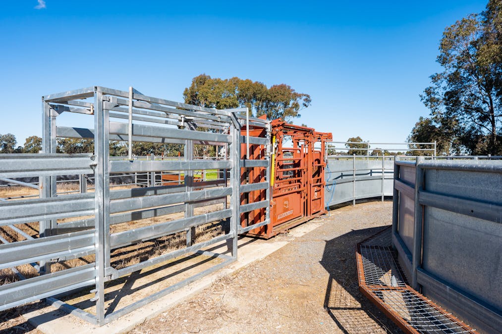 290 Savernake Road, Mulwala, NSW, 2647 - Image 28
