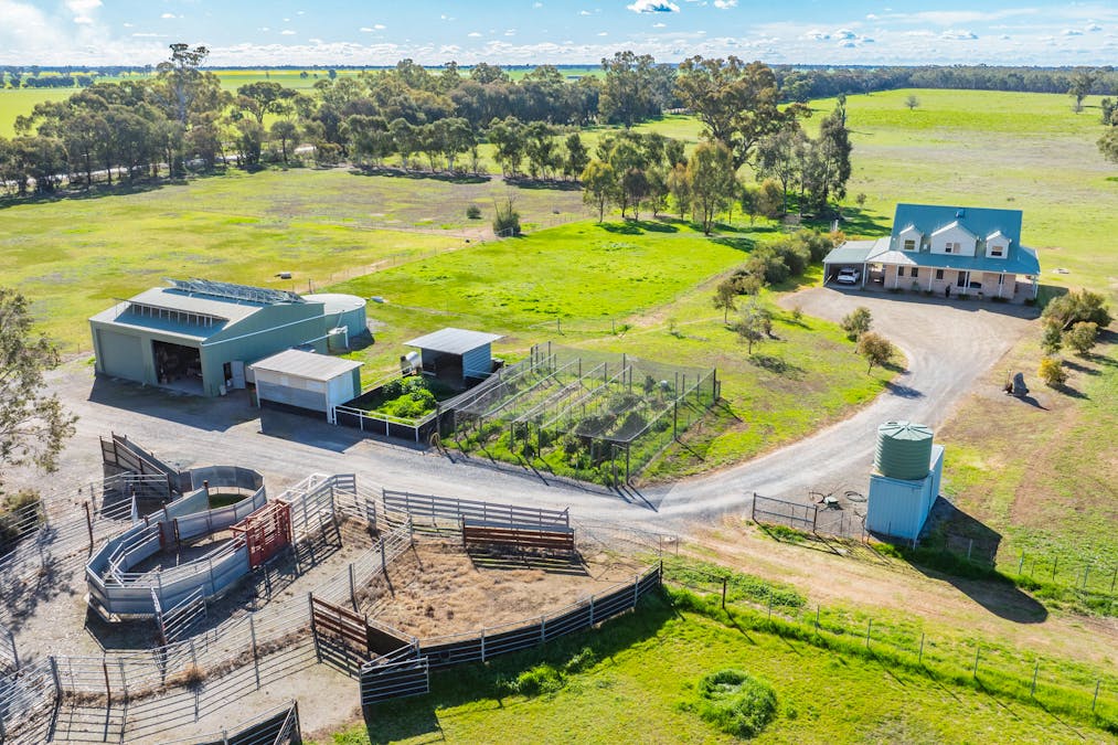 290 Savernake Road, Mulwala, NSW, 2647 - Image 2