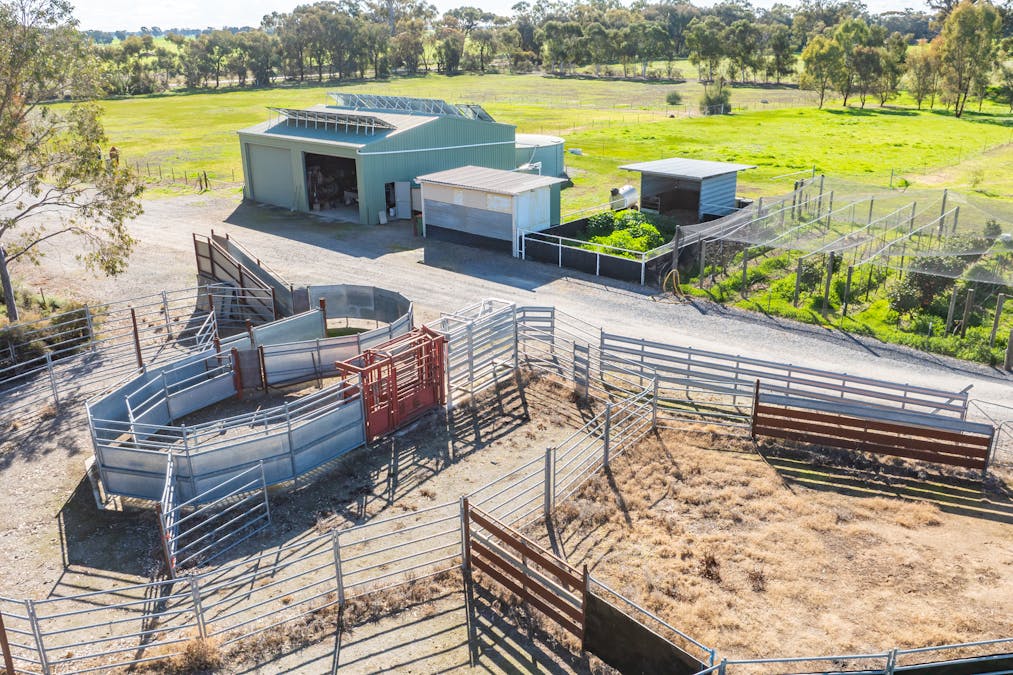 290 Savernake Road, Mulwala, NSW, 2647 - Image 24