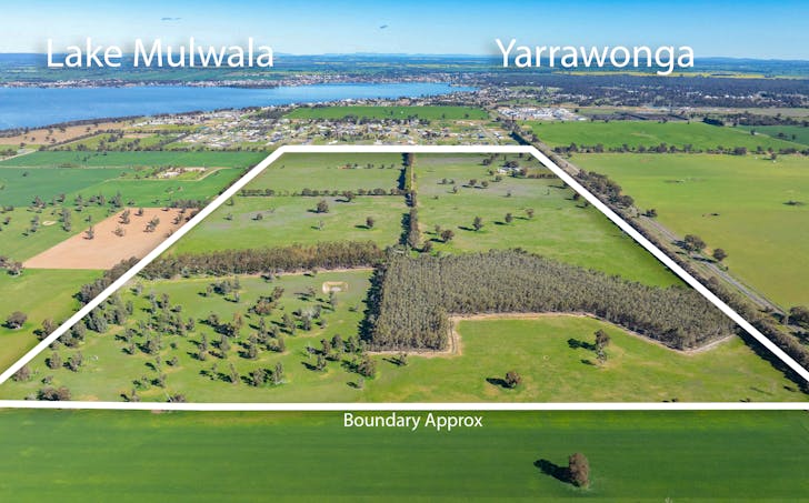 290 Savernake Road, Mulwala, NSW, 2647 - Image 1