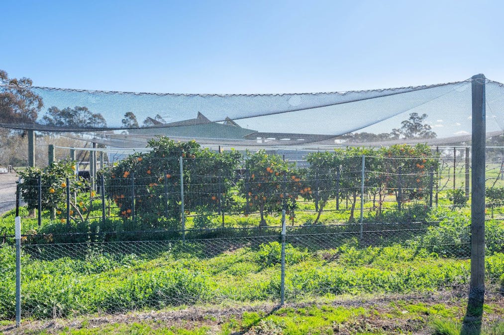 290 Savernake Road, Mulwala, NSW, 2647 - Image 35