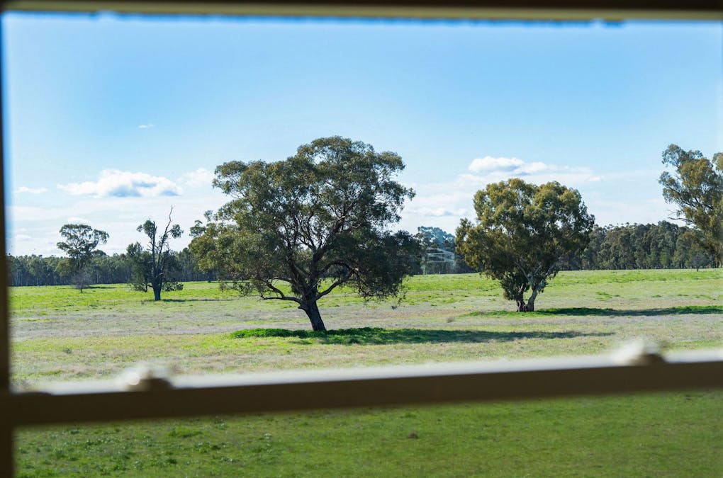 290 Savernake Road, Mulwala, NSW, 2647 - Image 13