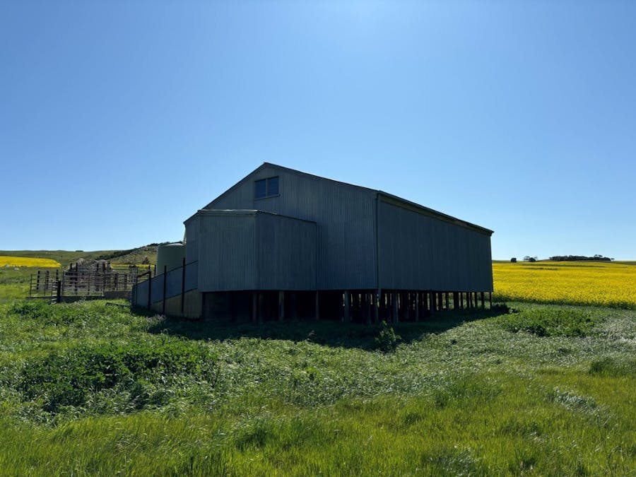 Lot 5 McAvaney Lane, Whites Flat, SA, 5607 - Image 18