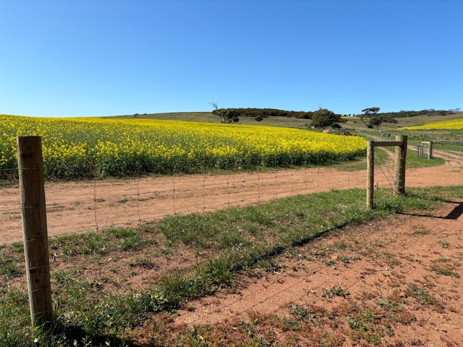 Lot 5 McAvaney Lane, Whites Flat, SA, 5607 - Image 28