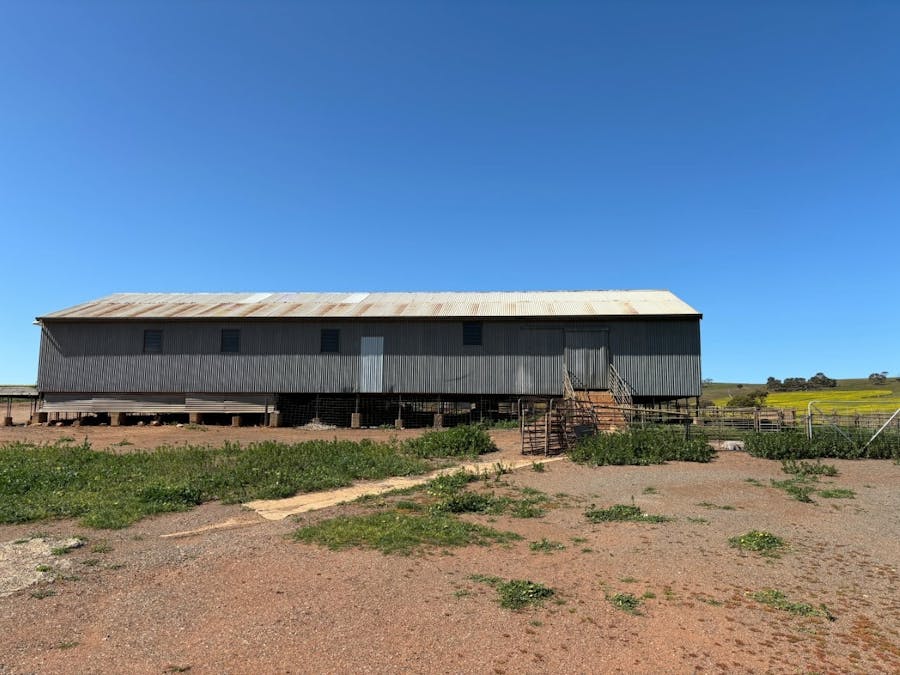 Lot 5 McAvaney Lane, Whites Flat, SA, 5607 - Image 12