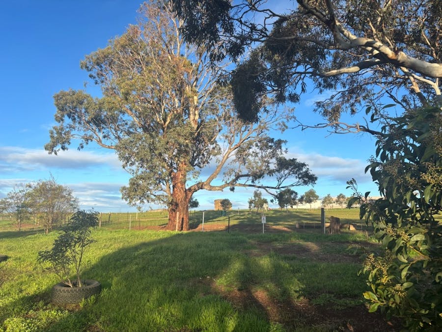 Lot 5 McAvaney Lane, Whites Flat, SA, 5607 - Image 3