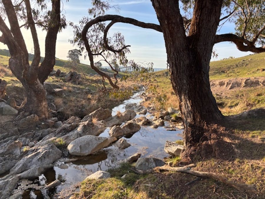 858 Sylvia Vale Road, Binda, NSW, 2583 - Image 11