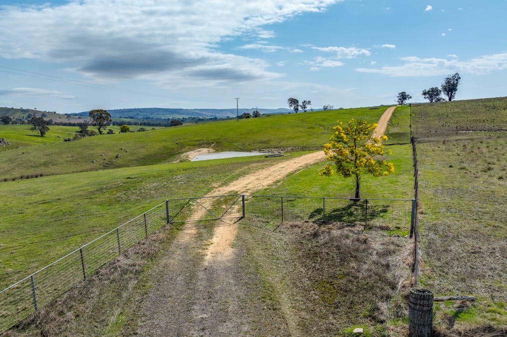 858 Sylvia Vale Road, Binda, NSW, 2583 - Image 5
