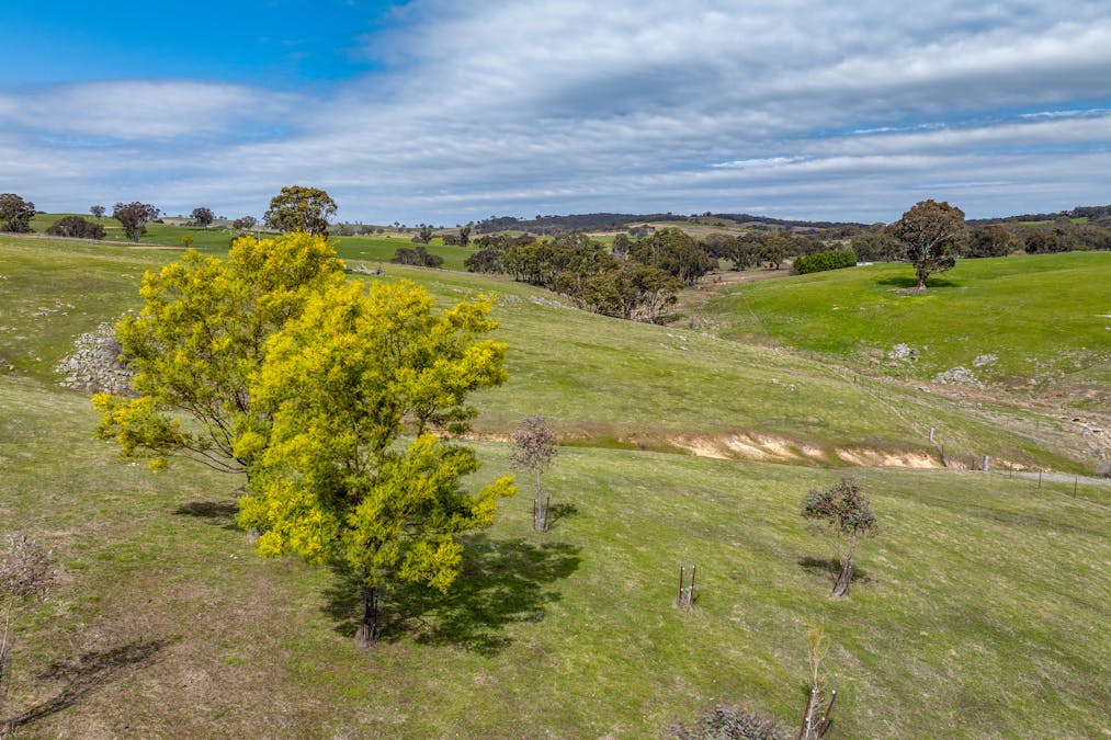858 Sylvia Vale Road, Binda, NSW, 2583 - Image 6