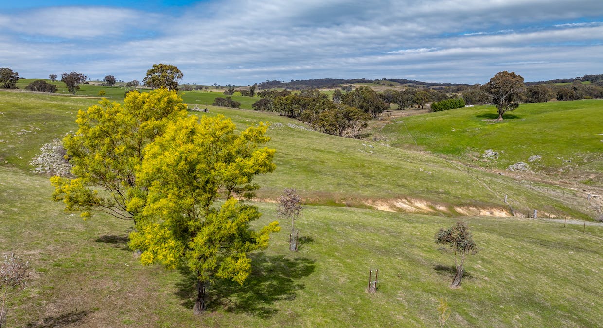 858 Sylvia Vale Road, Binda, NSW, 2583 - Image 7