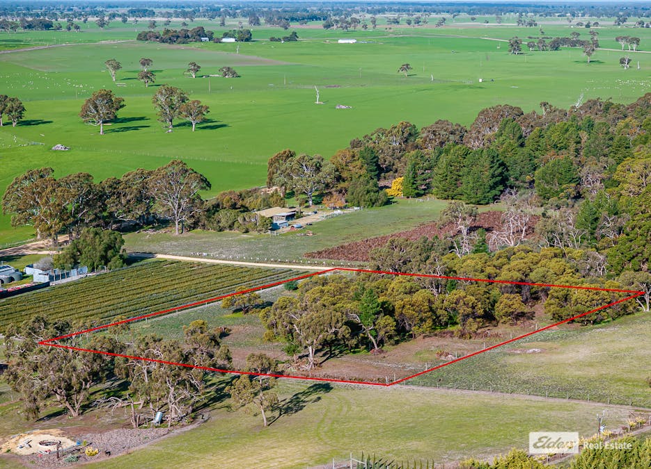 31/Haynes-Edwards Road, Naracoorte, SA, 5271 - Image 2