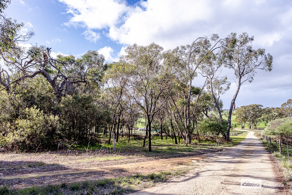 31/Haynes-Edwards Road, Naracoorte, SA, 5271 - Image 6