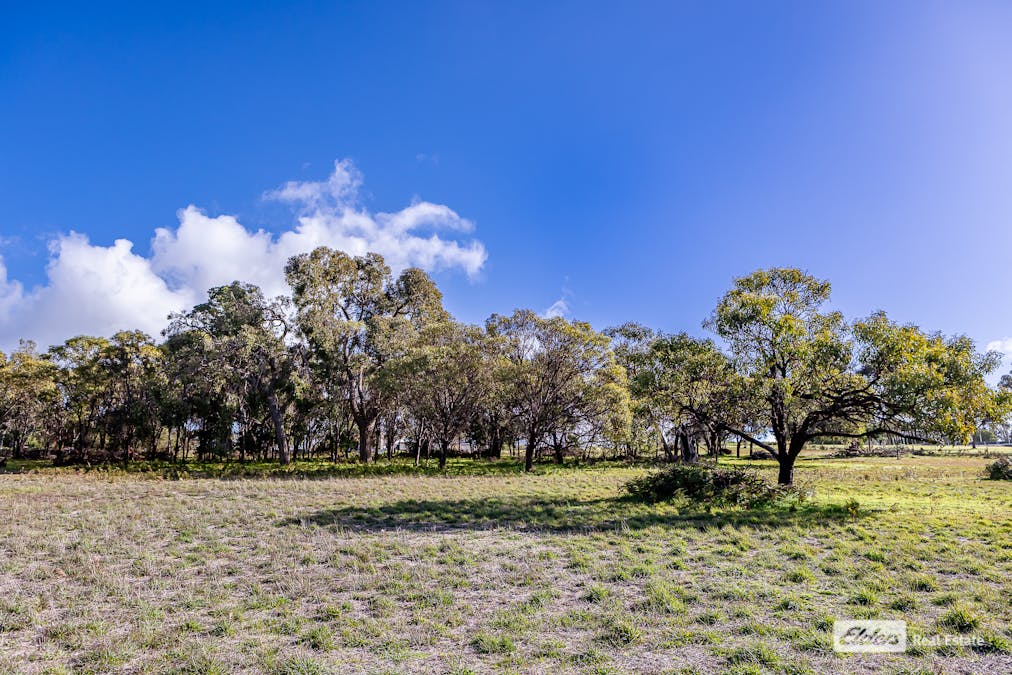 31/Haynes-Edwards Road, Naracoorte, SA, 5271 - Image 14