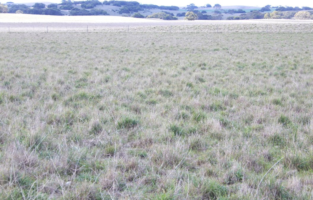 2778 McIntosh Way, Field, SA, 5265 - Image 19