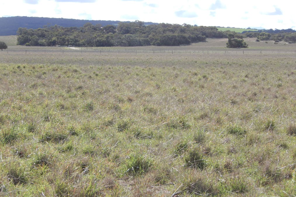 2778 McIntosh Way, Field, SA, 5265 - Image 8