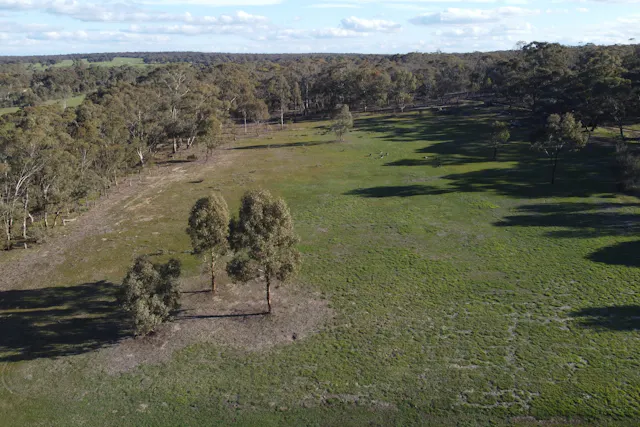 Burnside Road — photo from Elders Real Estate Horsham