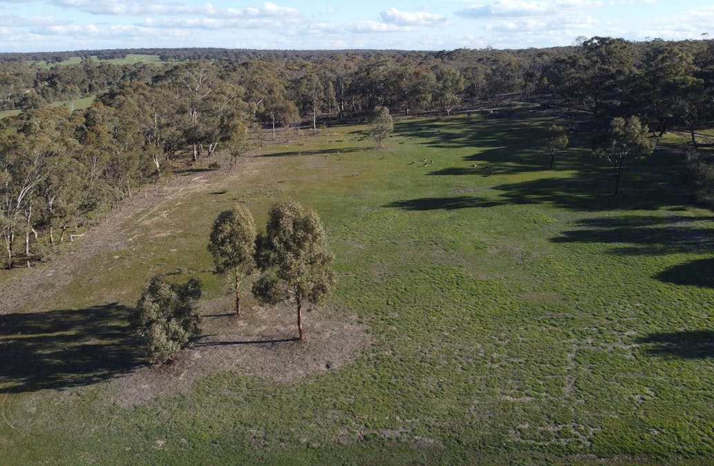 Burnside Road, St Arnaud, VIC, 3478 - Image 1