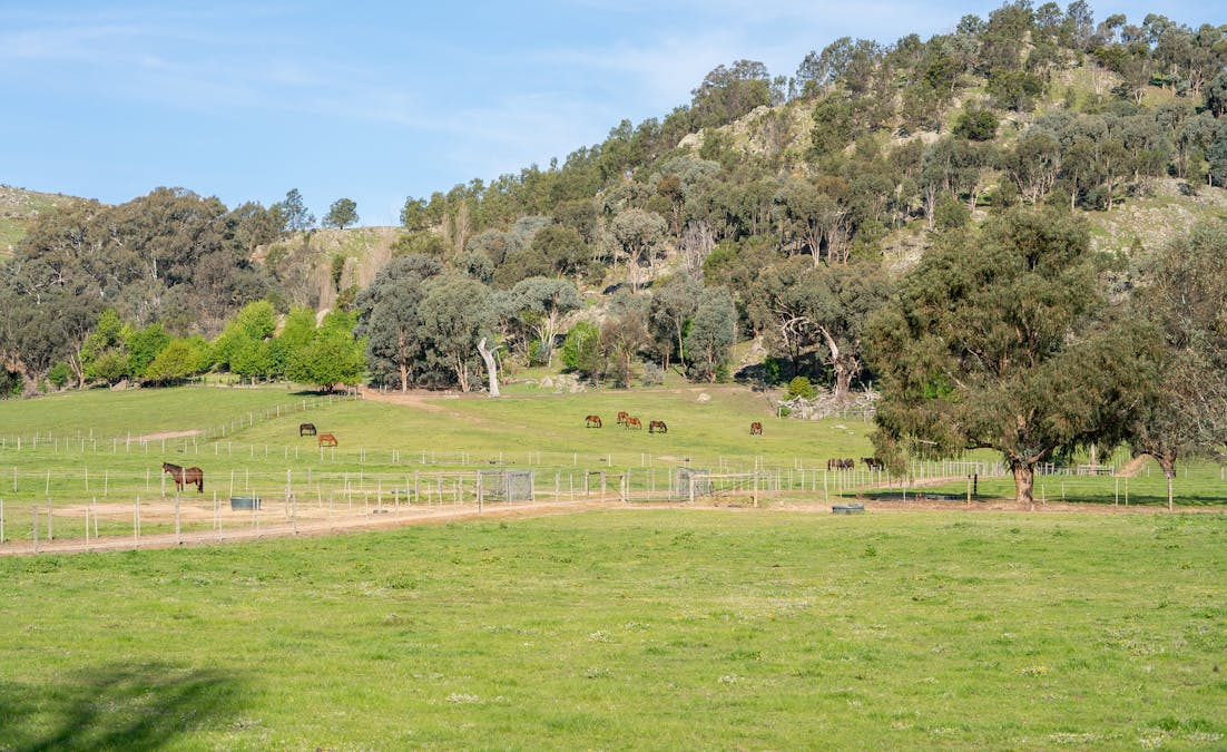 304 Sheans Creek Road, Sheans Creek, VIC, 3666 - Image 11