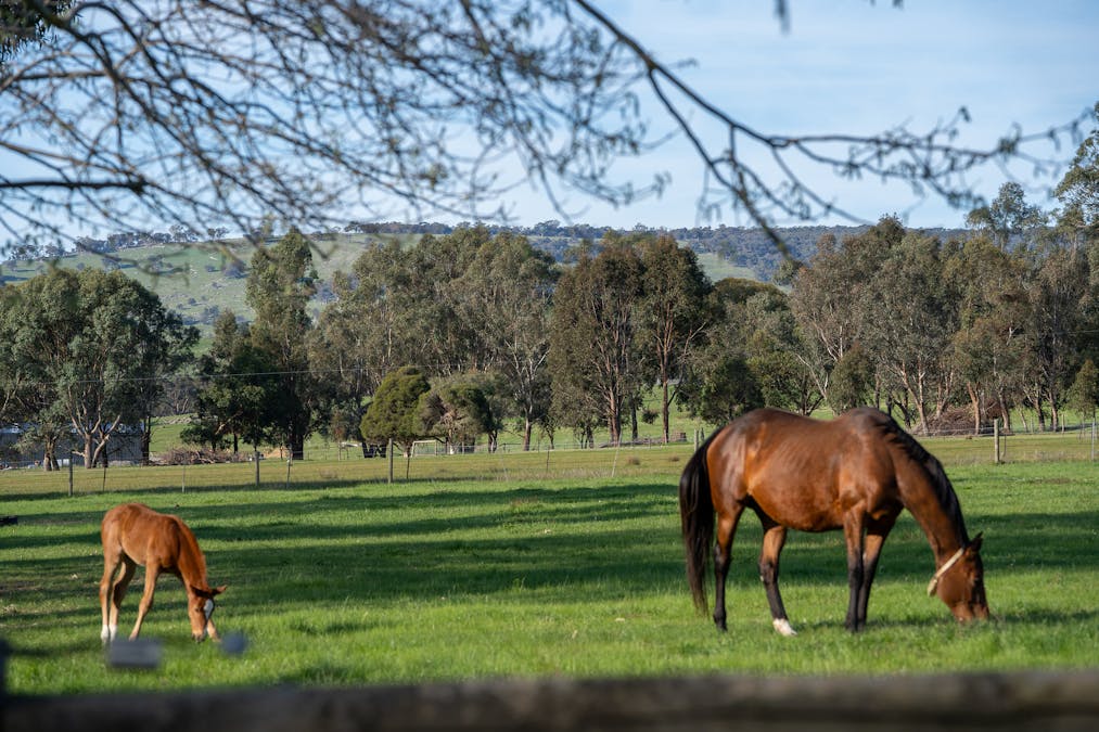 304 Sheans Creek Road, Sheans Creek, VIC, 3666 - Image 12