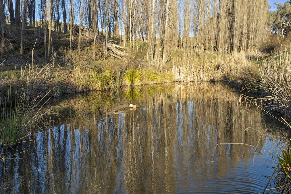304 Sheans Creek Road, Sheans Creek, VIC, 3666 - Image 14