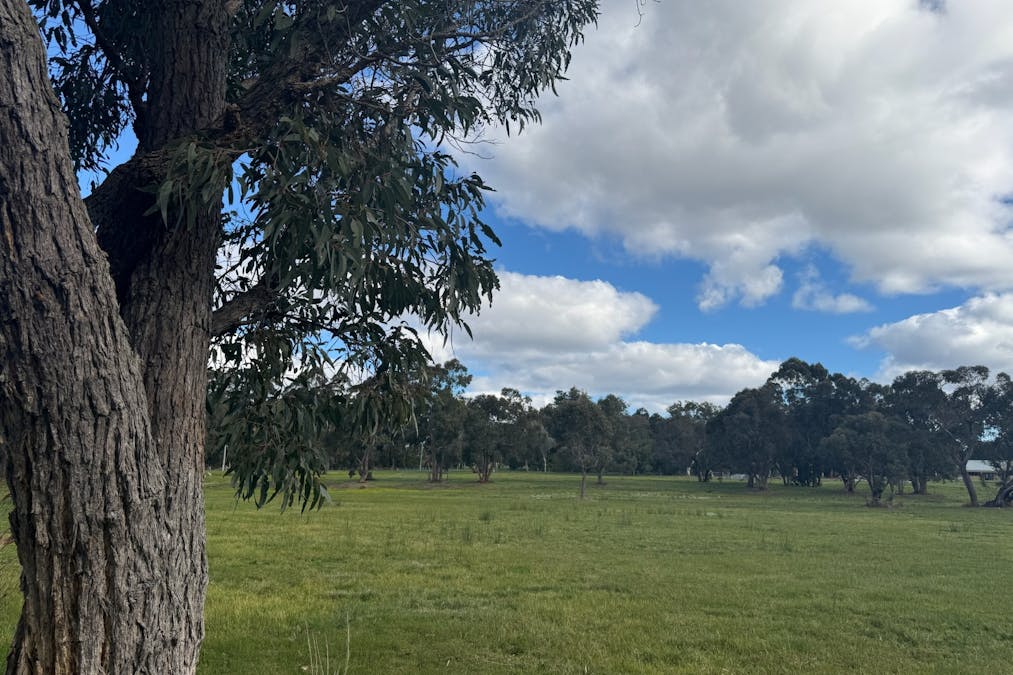 20 Parkfield Drive, Northcliffe, WA, 6262 - Image 17