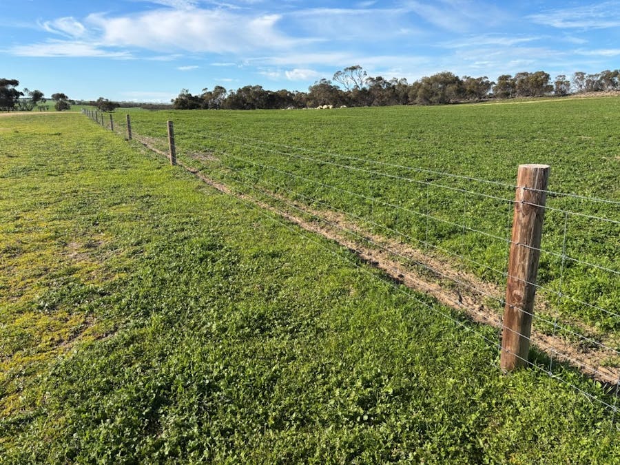 3276 Mount Hill-Coomaba Road, Moody, SA, 5607 - Image 17