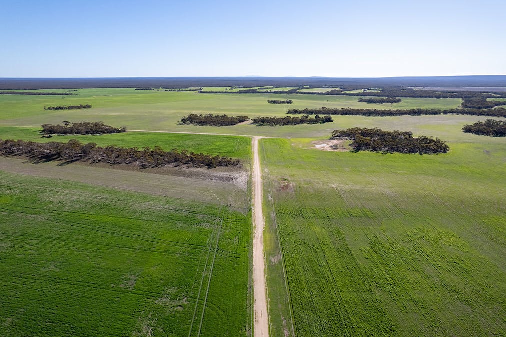 3276 Mount Hill-Coomaba Road, Moody, SA, 5607 - Image 6