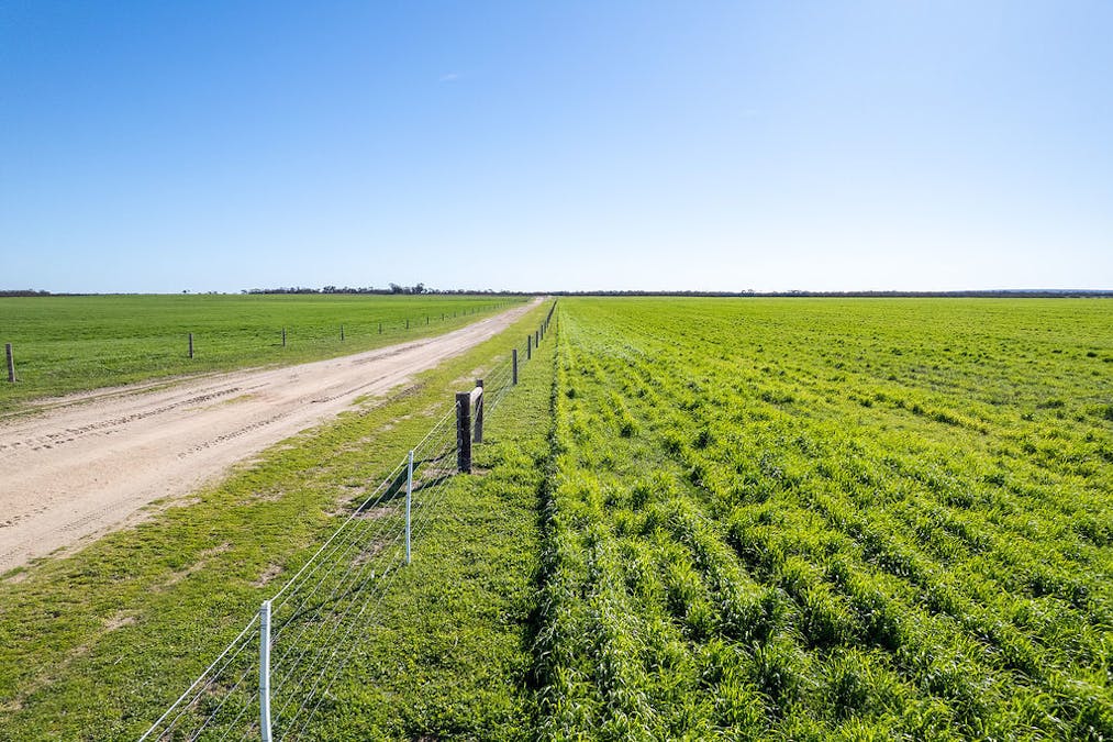 3276 Mount Hill-Coomaba Road, Moody, SA, 5607 - Image 7