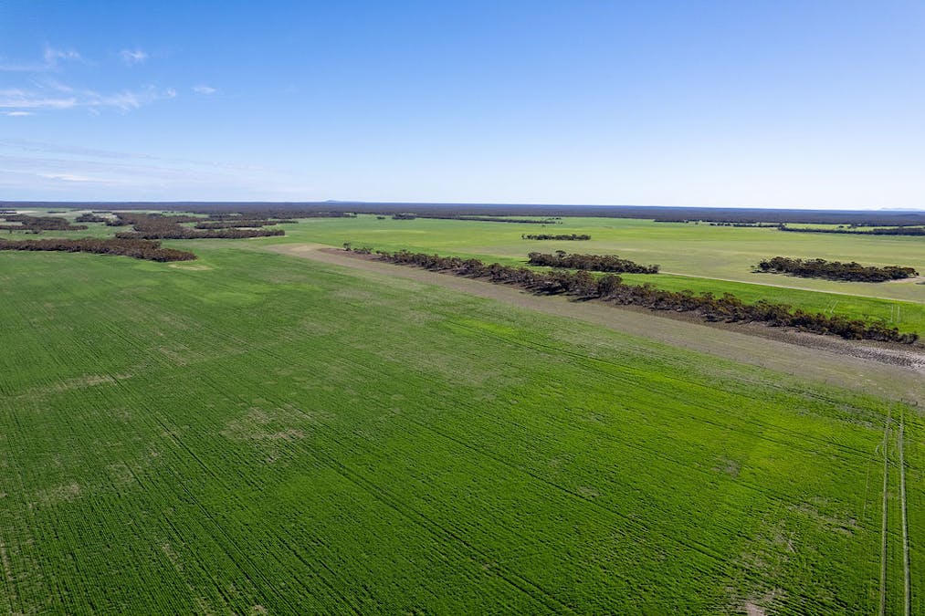 3276 Mount Hill-Coomaba Road, Moody, SA, 5607 - Image 3