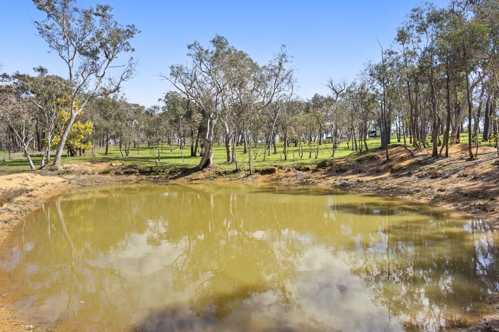 The Woods/1A Woods Close, Murrumbateman, NSW, 2582 - Image 31