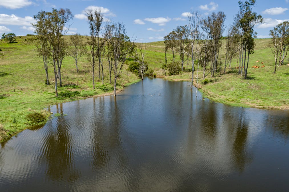 209 Hill End Road, South Kolan, QLD, 4670 - Image 24