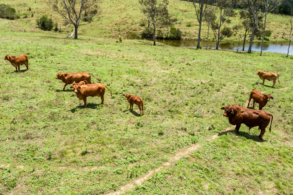 209 Hill End Road, South Kolan, QLD, 4670 - Image 16