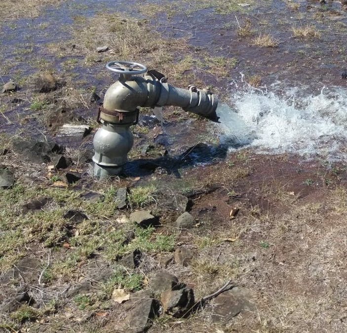 209 Hill End Road, South Kolan, QLD, 4670 - Image 26