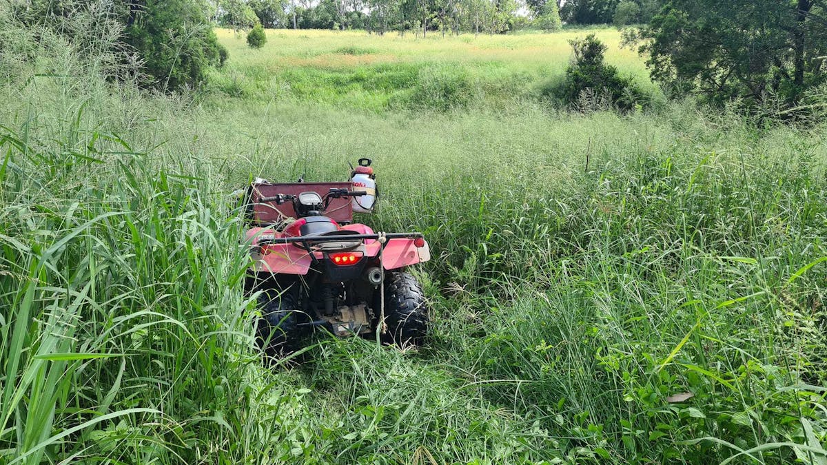 209 Hill End Road, South Kolan, QLD, 4670 - Image 21