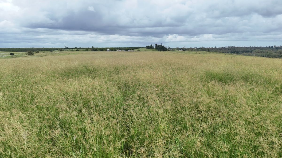 209 Hill End Road, South Kolan, QLD, 4670 - Image 22