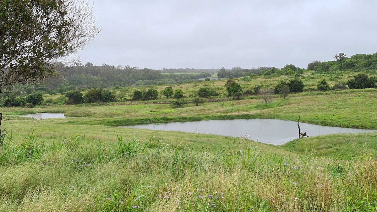 209 Hill End Road, South Kolan, QLD, 4670 - Image 23