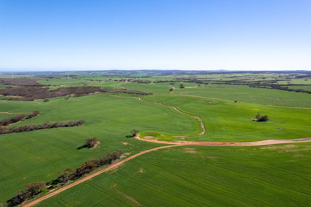 500 North Spriggs Road, Cleve, SA, 5640 - Image 9