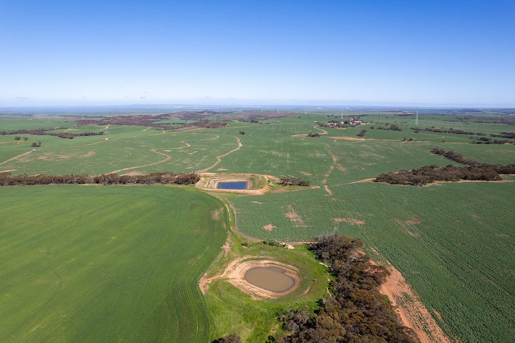 500 North Spriggs Road, Cleve, SA, 5640 - Image 8