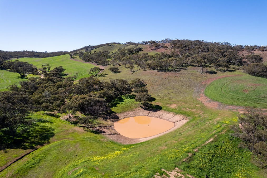 500 North Spriggs Road, Cleve, SA, 5640 - Image 32