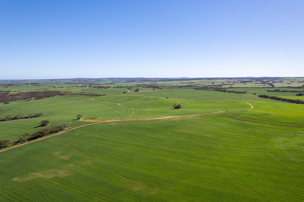 500 North Spriggs Road, Cleve, SA, 5640 - Image 5
