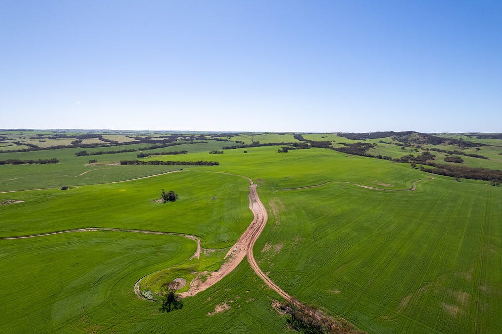 500 North Spriggs Road, Cleve, SA, 5640 - Image 33