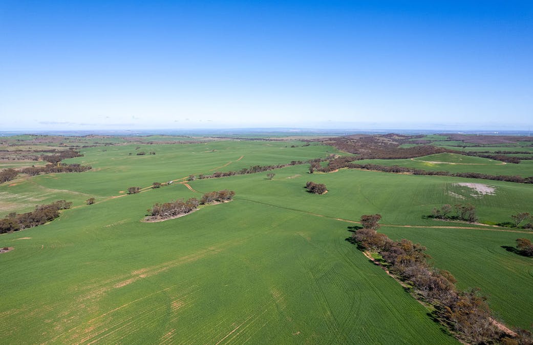 500 North Spriggs Road, Cleve, SA, 5640 - Image 34