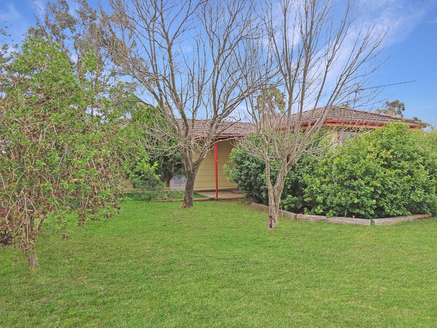 83  Satur Road, Scone, NSW, 2337 - Image 2