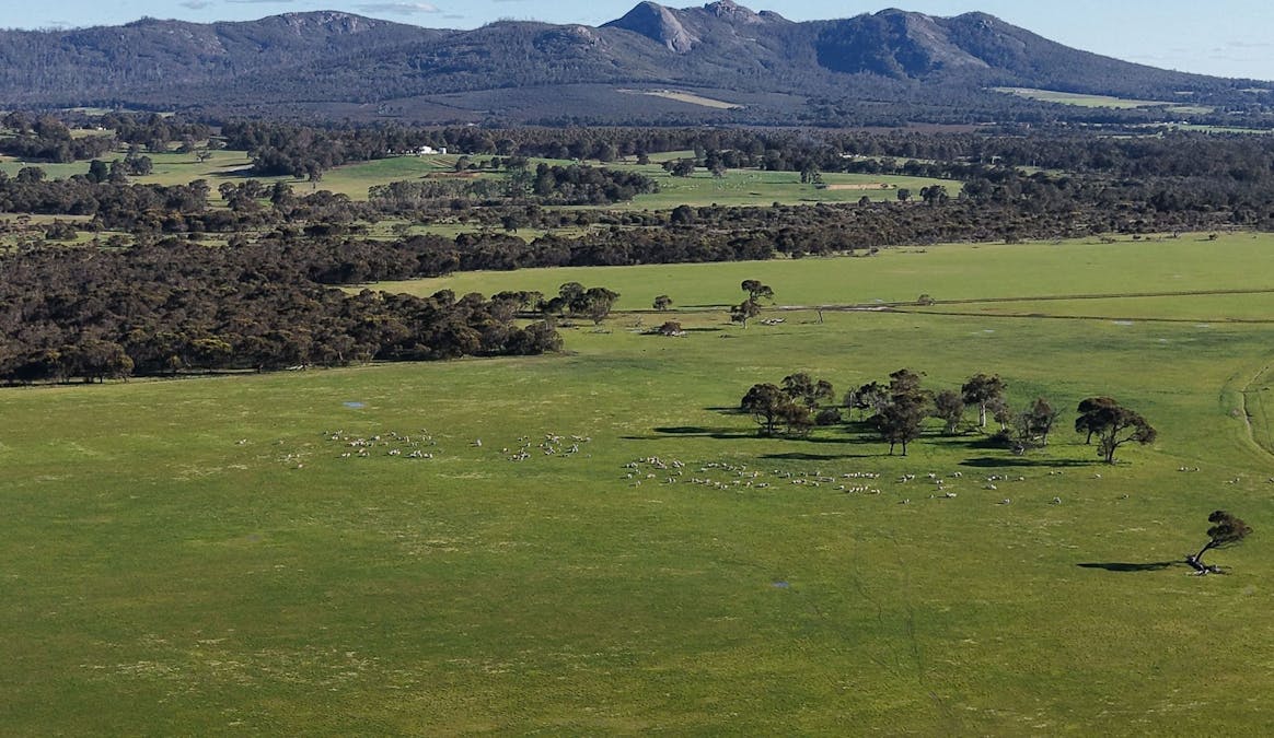 594 Knight Road, Porongurup, WA, 6324 - Image 3